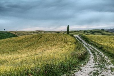 Scenic view of field against sky