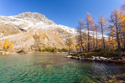 Scenic view of lake against clear sky