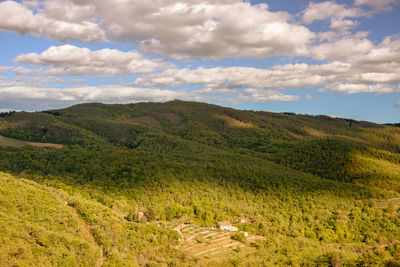 Scenic view of green landscape against sky