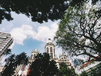 Low angle view of trees and buildings against sky