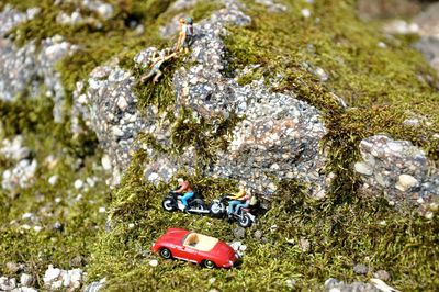Close-up of tractor on ground