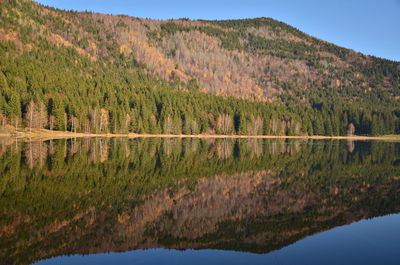Scenic view of lake by trees against sky