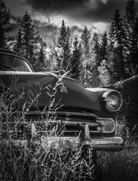 Abandoned car on field