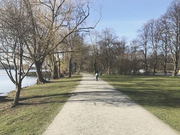 Walkway amidst bare trees against sky