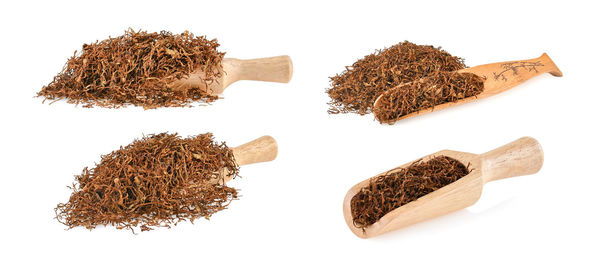 Close-up of dried plant against white background