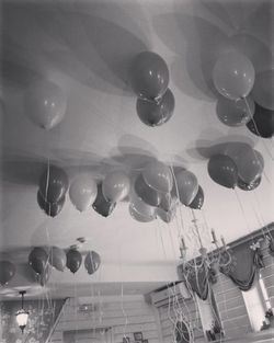 Low angle view of balloons hanging on ceiling