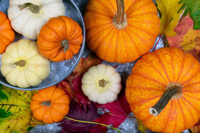 High angle view of pumpkins