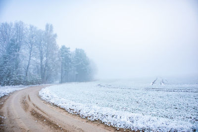 Road amidst trees on field during winter against sky