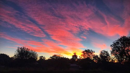 Low angle view of silhouette trees against sky at sunset