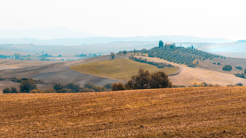 Scenic view of agricultural field against sky