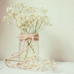 Close-up of white flowers in vase on table