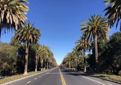 Road amidst trees against clear sky