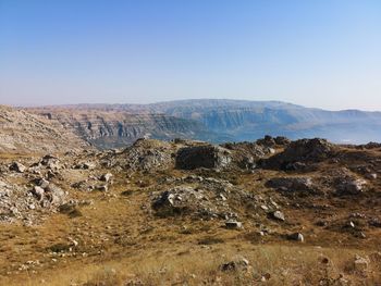 Scenic view of landscape against clear sky