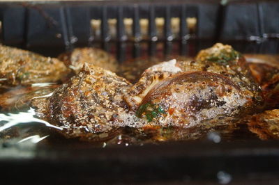 Close-up of fish in plate on table