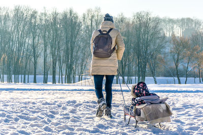 View of dog in winter