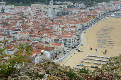 High angle view of buildings in city