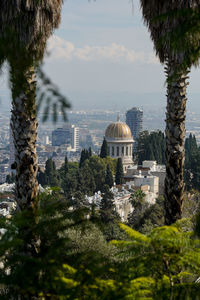 Trees, buildings and bahai temple  in city