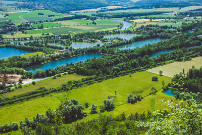 High angle view of agricultural field