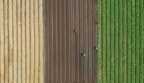 Full frame shot of green field