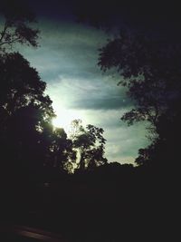 Silhouette of trees against sky