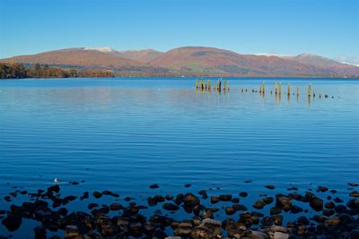 Scenic view of lake against clear sky