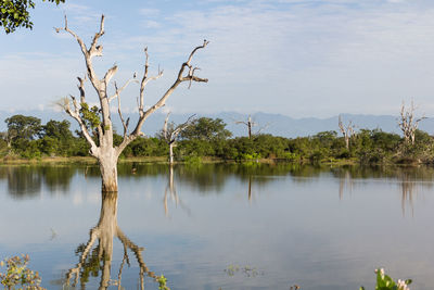 Scenic view of lake against sky