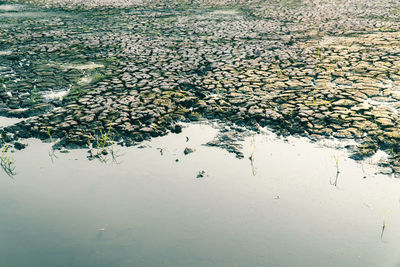 High angle view of frozen lake during winter