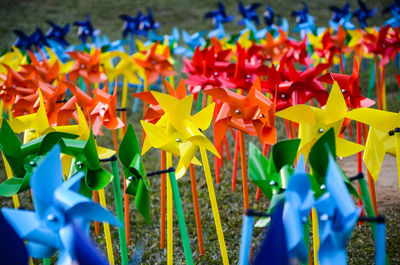 Close-up of multi colored flags