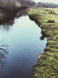 High angle view of lake amidst trees