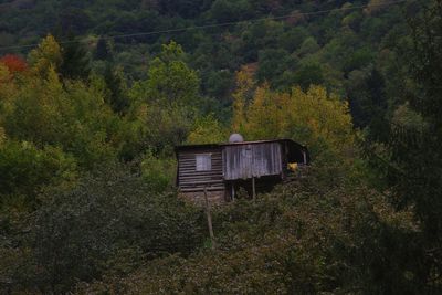 House amidst trees and plants in forest