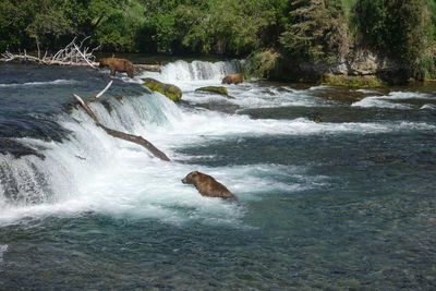 Scenic view of waterfall