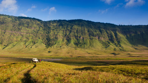 Savanna at mount bromo volcanoes in bromo tengger semeru national park, east java, indonesia.