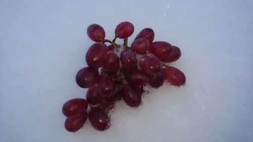 Close-up of cherries against white background