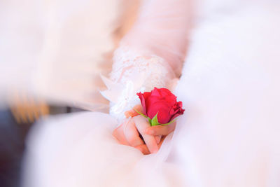 Midsection of bride and groom holding red rose
