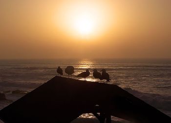 Scenic view of sea at sunset