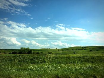 Scenic view of farm against sky