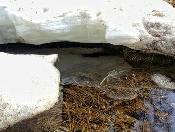 Close-up of wet shore