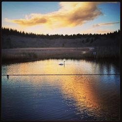 Scenic view of lake at sunset