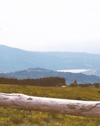 Scenic view of landscape against sky