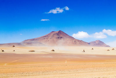 Scenic view of desert against sky