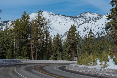 Road by trees against sky during winter