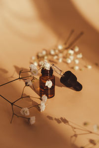 Small bottle of serum on neutral beige background. beauty pipette dropper with gypsophila or baby's