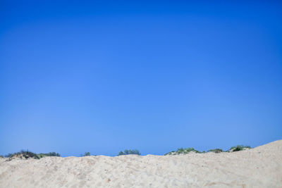 Surface level of sandy beach against clear blue sky