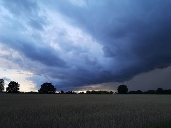 Scenic view of field against sky