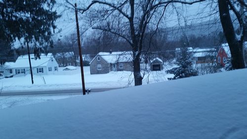 Bare trees on snow covered landscape