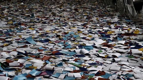 Autumn leaves on ground