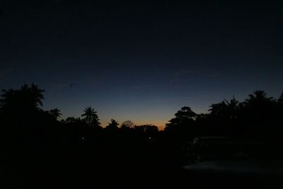 Silhouette trees against sky at night