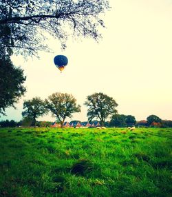 Hot air balloons on grassy field