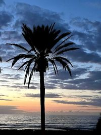 Silhouette palm tree by sea against sky at sunset