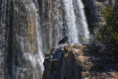 waterfall